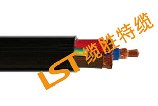 耐寒電纜 耐寒電纜